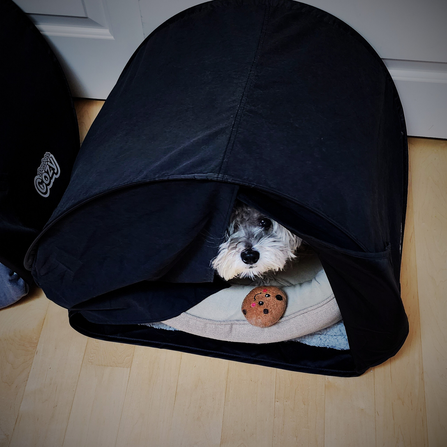 zDen Pets Cozy's luxury pet bed in a serene pet sleeping area, for pet relaxation.