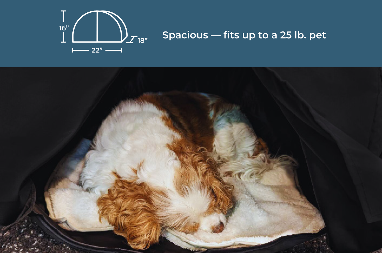 Eco-friendly zDen Pets Cozy Pet Lounger in use, a sustainable pet care choice forCavalier King Charles Spaniel