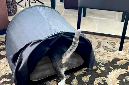 American shorthair cat enjoying the comfort of a Cozy Cat Cave, a snug retreat for felines.