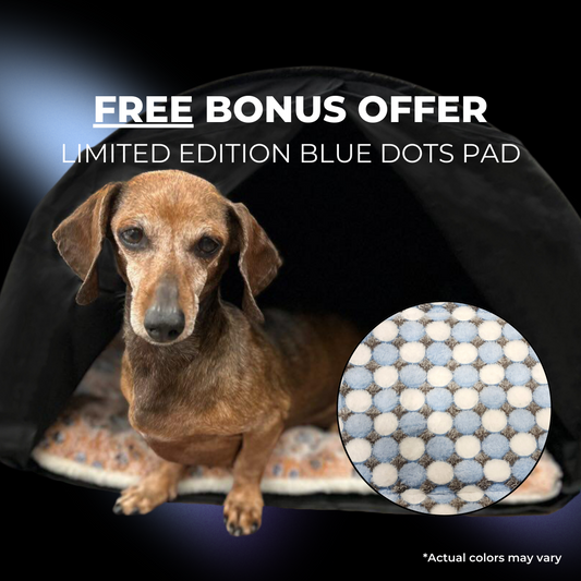 Dachshund Dog enjoying the comfort of a zDen Pets Cozy Pet House, ideal for stress relief.